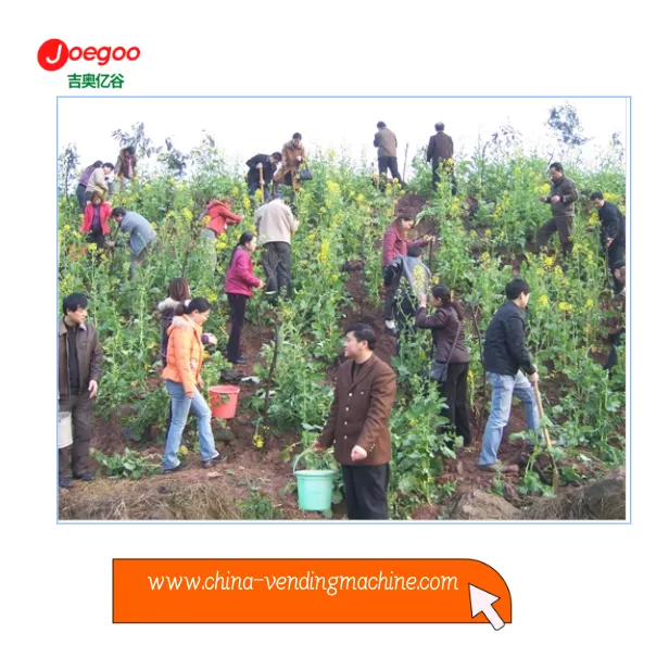 Departamento de Exportação da Empresa Jeogoo organizou atividade voluntária p...